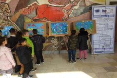 IMG_20221102_115050289
