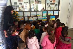 IMG_20221102_094933524