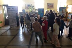 IMG_20221103_143934841