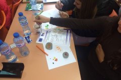 IMG_20221111_120400743