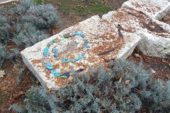 IMG_20221111_135634450