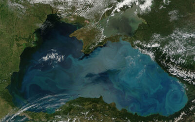 Международен ден на Черно море – 31 октомври