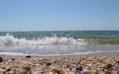 „Чисти води – чисто Черно море“