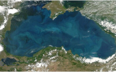 Черно море е сред най-замърсените с пластмаса