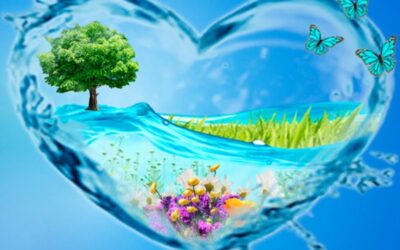 Опазване на водите в Черноморския регион